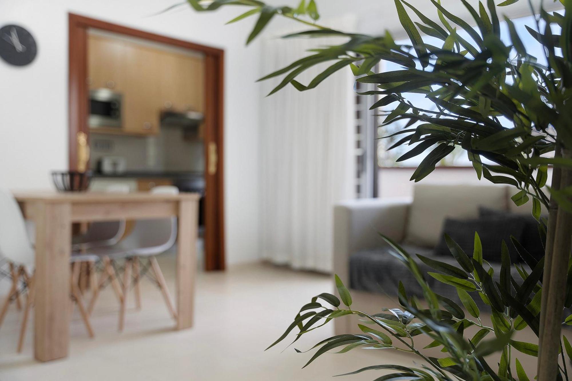 Apartamento Opuntia La Orotava Bagian luar foto